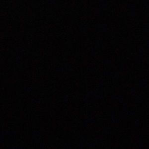 Meet your Posher, Whitney